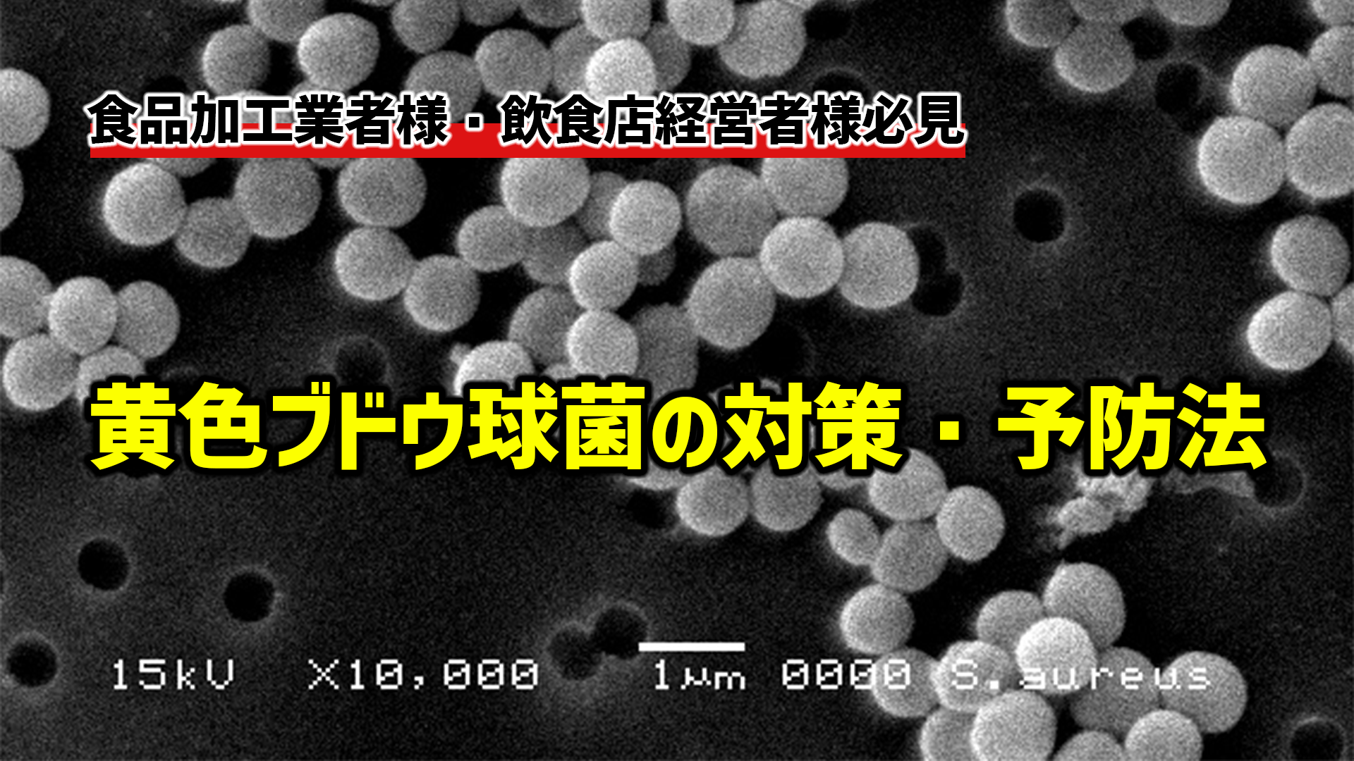 黄色ブドウ球菌 食中毒 対策